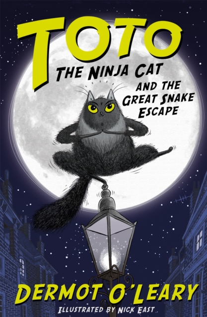 Tota the Ninja Cat series by Dermot O'Leary