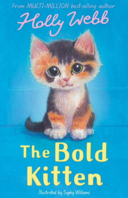 The Bold Kitten by Holly Webb, illustrated by Sophy Williams