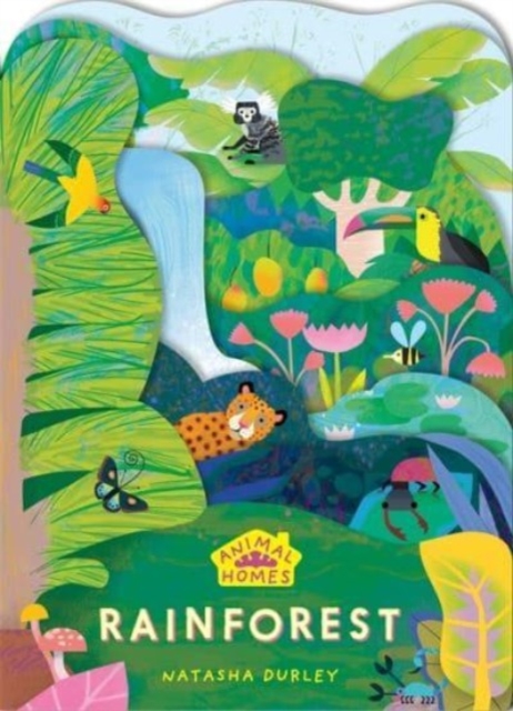 Animal Homes: Rainforest by Natasha Durley