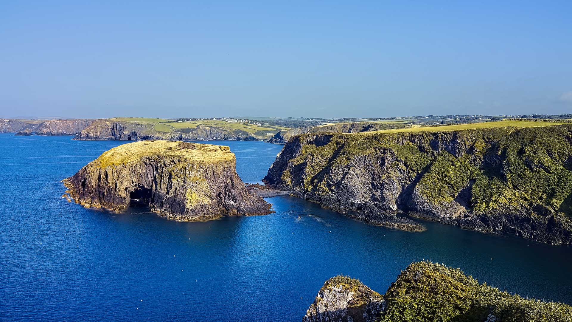 Children's bookshops in Wales