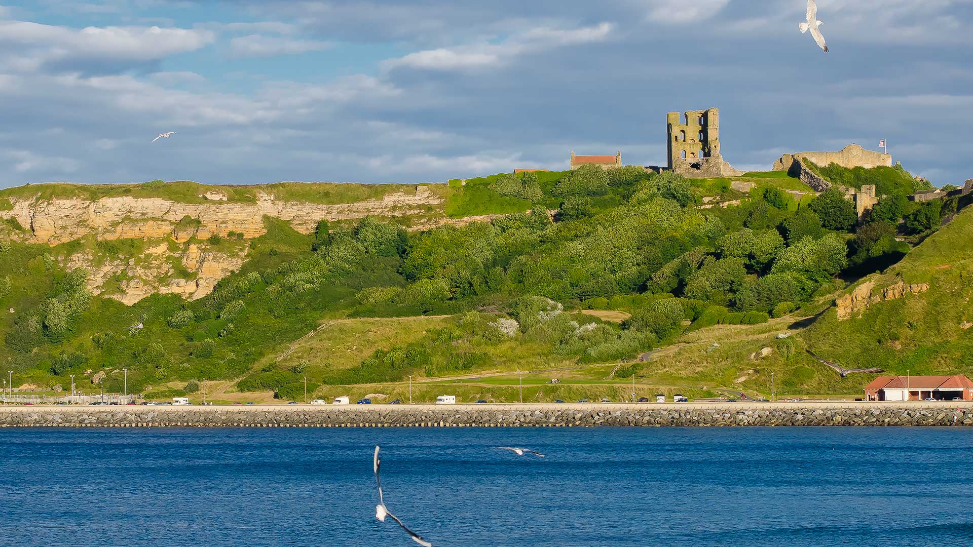 Children's bookshops in Yorkshire and the Humber