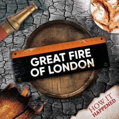 The Great Fire of London by Robin Twiddy