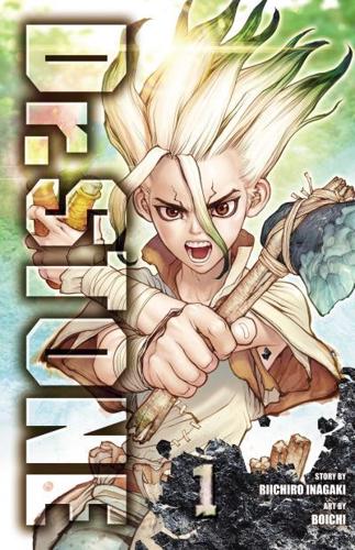 Dr. Stone by Riichiro Inagaki