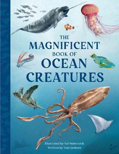 The Magnificent Book of Ocean Creatures by Tom Jackson and Val Walerczuk