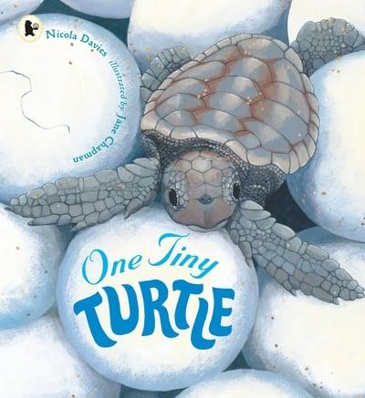 One Tiny Turtle by Nicola Davies