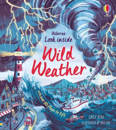 Look Inside: Wild Weather by Emily Bone, illustrated by Bao Luu